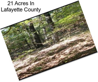 21 Acres In Lafayette County