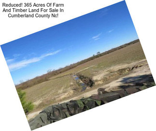 Reduced! 365 Acres Of Farm And Timber Land For Sale In Cumberland County Nc!