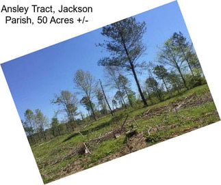 Ansley Tract, Jackson Parish, 50 Acres +/-