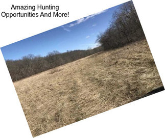 Amazing Hunting Opportunities And More!