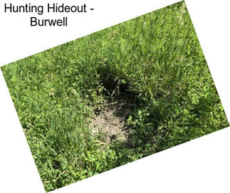 Hunting Hideout - Burwell