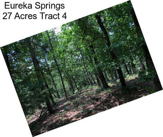 Eureka Springs 27 Acres Tract 4