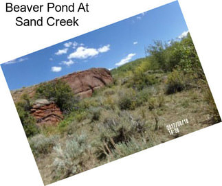 Beaver Pond At Sand Creek