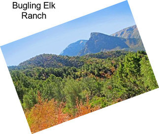 Bugling Elk Ranch
