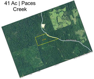 41 Ac | Paces Creek