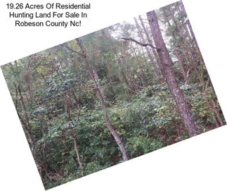 19.26 Acres Of Residential Hunting Land For Sale In Robeson County Nc!