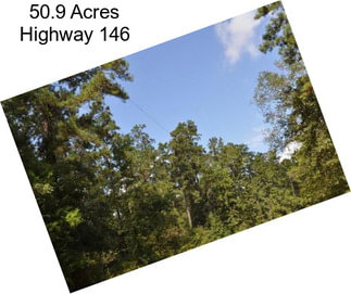 50.9 Acres Highway 146