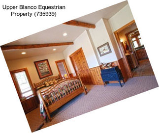 Upper Blanco Equestrian Property (735939)