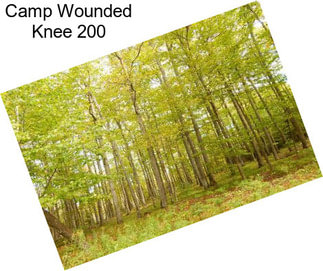 Camp Wounded Knee 200