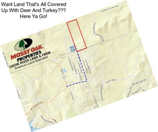 Want Land That\'s All Covered Up With Deer And Turkey??? Here Ya Go!
