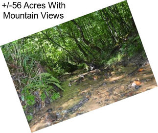 +/-56 Acres With Mountain Views