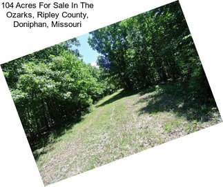 104 Acres For Sale In The Ozarks, Ripley County, Doniphan, Missouri