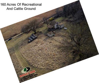 160 Acres Of Recreational And Cattle Ground