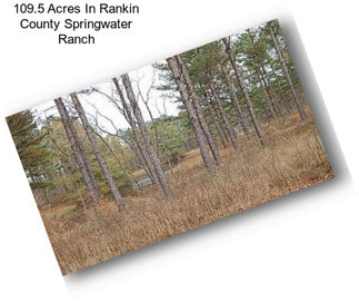 109.5 Acres In Rankin County Springwater Ranch