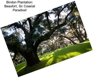 Bindon Plantation: Beaufort, Sc Coastal Paradise!