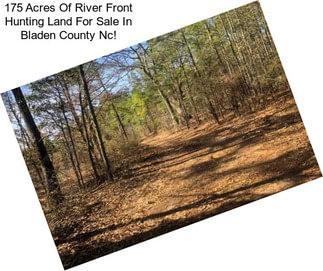 175 Acres Of River Front Hunting Land For Sale In Bladen County Nc!