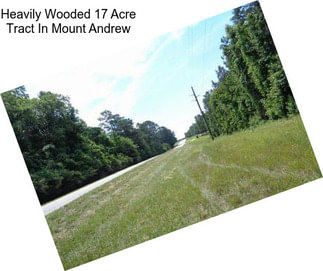 Heavily Wooded 17 Acre Tract In Mount Andrew