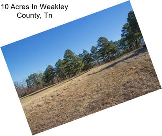 10 Acres In Weakley County, Tn