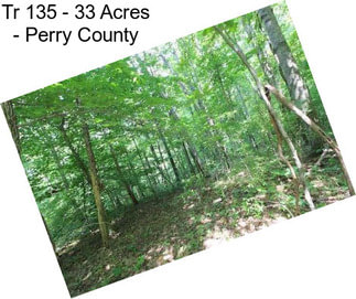 Tr 135 - 33 Acres - Perry County