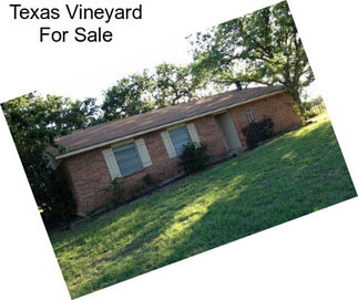 Texas Vineyard For Sale