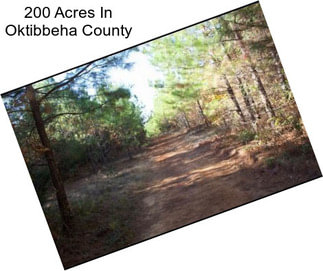 200 Acres In Oktibbeha County
