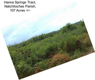 Hanna Springs Tract, Natchitoches Parish, 107 Acres +/-