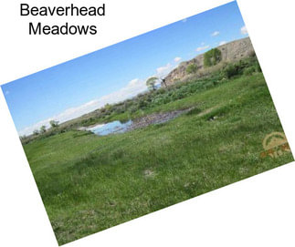 Beaverhead Meadows