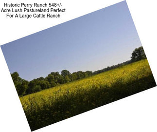 Historic Perry Ranch 548+/- Acre Lush Pastureland Perfect For A Large Cattle Ranch