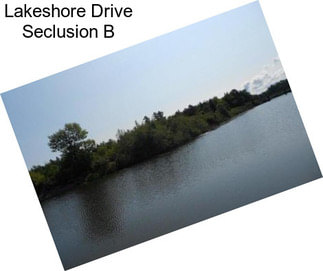Lakeshore Drive Seclusion B