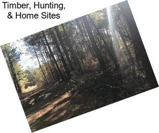 Timber, Hunting, & Home Sites