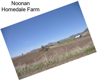 Noonan Homedale Farm