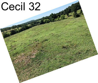 Cecil 32