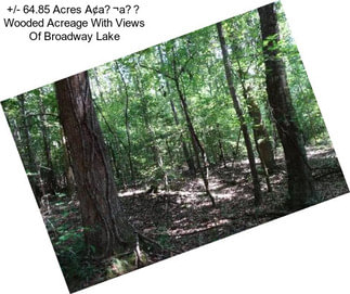 +/- 64.85 Acres A¢a¬a Wooded Acreage With Views Of Broadway Lake