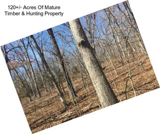 120+/- Acres Of Mature Timber & Hunting Property