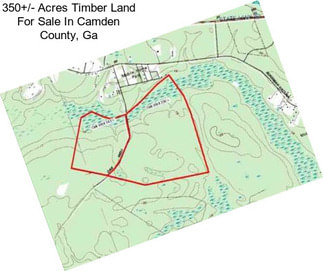 350+/- Acres Timber Land For Sale In Camden County, Ga