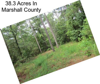 38.3 Acres In Marshall County