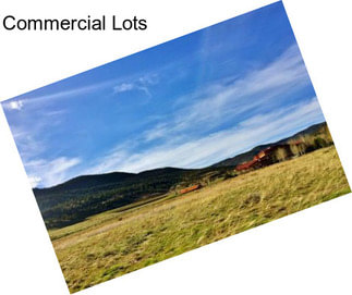 Commercial Lots