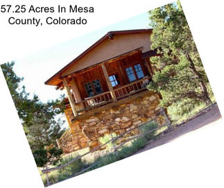 57.25 Acres In Mesa County, Colorado