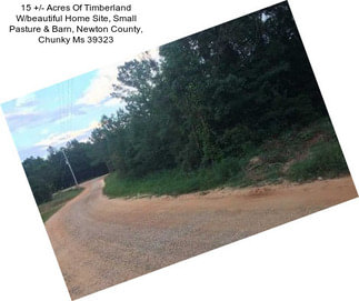 15 +/- Acres Of Timberland W/beautiful Home Site, Small Pasture & Barn, Newton County, Chunky Ms 39323