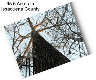 95.6 Acres In Issaquena County