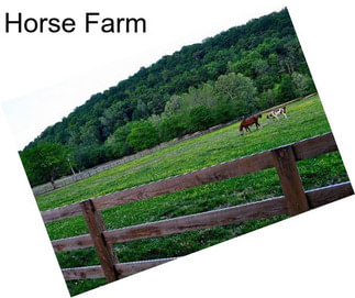 Horse Farm