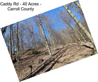 Caddy Rd - 40 Acres - Carroll County