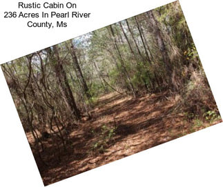 Rustic Cabin On 236 Acres In Pearl River County, Ms