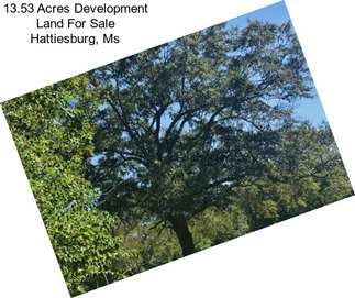 13.53 Acres Development Land For Sale Hattiesburg, Ms
