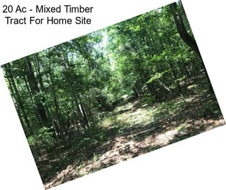 20 Ac - Mixed Timber Tract For Home Site