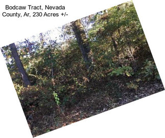 Bodcaw Tract, Nevada County, Ar, 230 Acres +/-