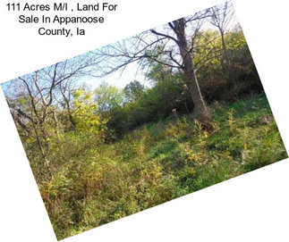 111 Acres M/l , Land For Sale In Appanoose County, Ia