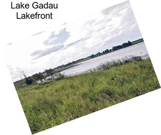 Lake Gadau Lakefront