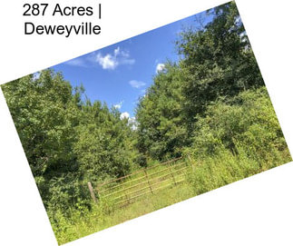 287 Acres | Deweyville