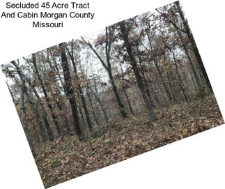 Secluded 45 Acre Tract And Cabin Morgan County Missouri